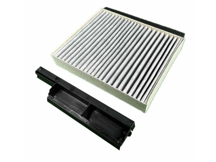 AIR2GO Aktivkohlefilter für Bosch 17006795 / DWZ0DX0A0