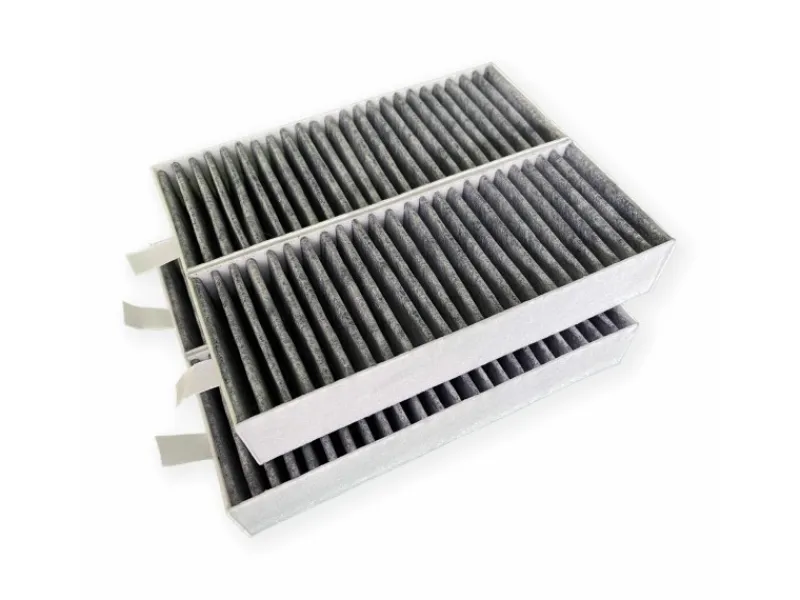 Outlet Aktivkohlefilter für Siemens CleanAir 17007505 und 17004796 4 Stück Dunstabzugshauben-Filter