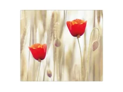 Banjado Herdabdeckplatte Glas 1 Teilig 60x52CM Schneidebrett Herdabdeckung Mit Motiv Erdkugel