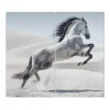 Banjado Herde|Kochfelder<Herdabdeckplatte Glas 2 Teilig Je 30x52CM Schneidebrett Herdabdeckung Mit Motiv Wildes Pferd