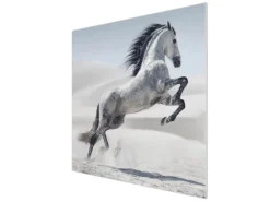 Banjado Herdabdeckungen|Herde<Herdabdeckplatte Glas 1 Teilig 60x52CM Schneidebrett Herdabdeckung Mit Motiv Wildes Pferd