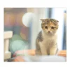 Banjado Schneidebretter|Herdabdeckungen<Herdabdeckplatte Glas 1 Teilig 60x52CM Schneidebrett Herdabdeckung Mit Motiv Kleine Katze