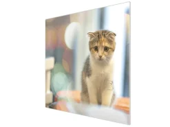 Banjado Schneidebretter|Herdabdeckungen<Herdabdeckplatte Glas 1 Teilig 60x52CM Schneidebrett Herdabdeckung Mit Motiv Kleine Katze