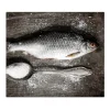 Banjado Schneidebretter|Herdabdeckungen<Herdabdeckplatte Glas 1 Teilig 60x52CM Schneidebrett Herdabdeckung Mit Motiv Fisch Und Salz
