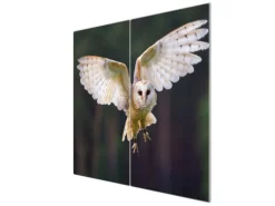 Banjado Schneidebretter|Herdabdeckungen<Herdabdeckplatte Glas 2 Teilig Je 30x52CM Schneidebrett Herdabdeckung Mit Motiv Schleiereule