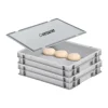 PROREGAL Vorratsdosen<CHEFGASTRO SuperSparSet 2 x Pizzaballenbox Mit 1 x Deckel HxBxT 8,5 x 30 x 40 cm 9 Liter Teigwanne Für Pizzateig Sstapelbare Pizzabox