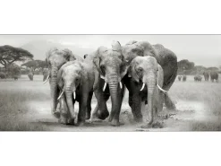 New Deco Panel Anonymus Elephant Herd 117 cm x 49 cm Herde