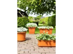 Best Florus Pflanztopf Cilindro Ø 40 cm Anthrazit