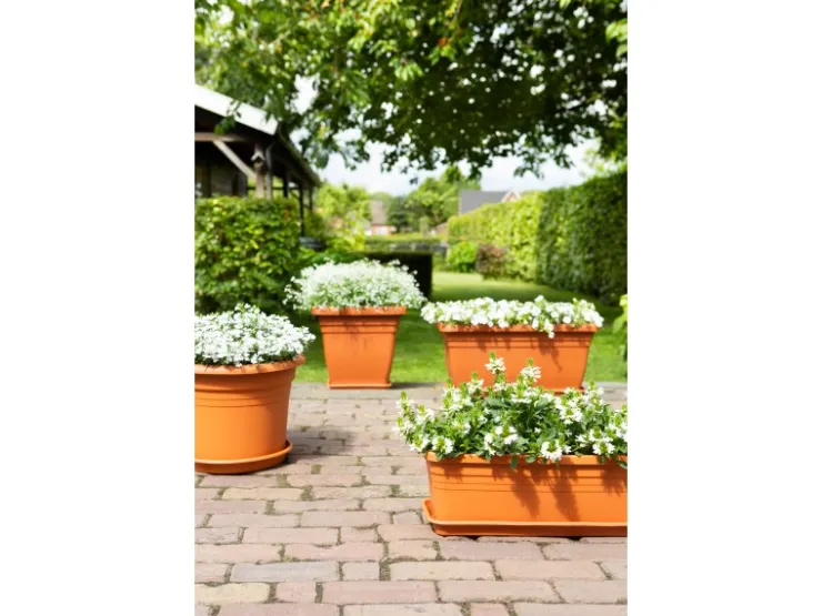 Best Florus Pflanztopf Cilindro Ø 40 cm Anthrazit