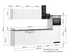 Clearance Held Möbel Held Küchen Küchenzeile Gera 300 cm Weiß/Wotan mit E-Geräten /autark
