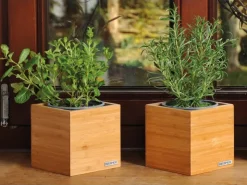 Discount Kesper Utensilienbox Bambus FSC®