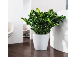 Discount ® Pflanzgefäß Classico Color 35 Ø 35 cm Töpfe