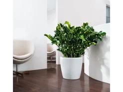 Discount ® Pflanzgefäß Classico Color 35 Ø 35 cm Töpfe