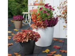 Clearance ® Pflanzgefäß Classico Color 35 Schiefer Ø 35 cm Töpfe
