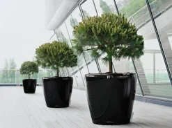 Lechuza Töpfe<® Pflanzgefäß Classico Premium Ø 70 cm x 65 cm hochglanz Schwarz