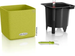 Lechuza Töpfe<® Pflanzgefäß Cube Color 14 cm x 14 cm x 14 cm Limetten Grün