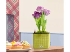 Lechuza Töpfe<® Pflanzgefäß Cube Color 14 cm x 14 cm x 14 cm Limetten Grün