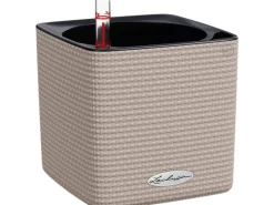 Best ® Pflanzgefäß Cube Color 14 cm x 14 cm x 14 cm Sand Töpfe