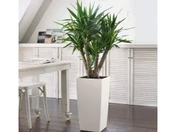 Lechuza Töpfe<® Pflanzgefäß Cubico Color 30 30 cm x 30 cm Weiß