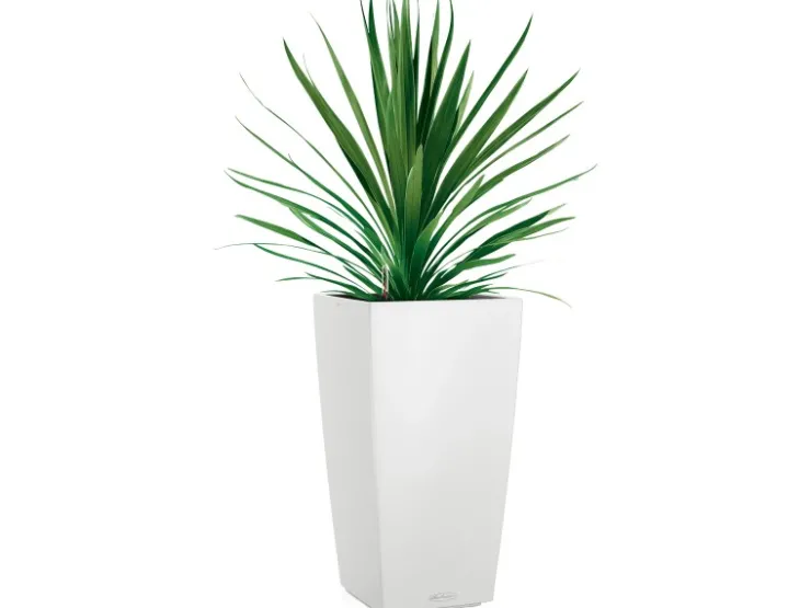 Clearance Lechuza ® Pflanzgefäß Cubico Color 22 22 cm x 22 cm Weiß