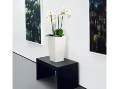 Clearance Lechuza ® Pflanzgefäß Cubico Color 22 22 cm x 22 cm Weiß