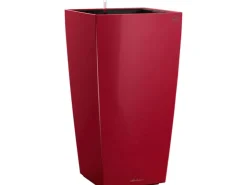 Online Lechuza ® Pflanzgefäß Cubico Premium 50 cm x 50 cm Scarlet hochglanz Rot