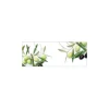Best MySpotti Küchenrückwand Profix Cucina Olivenzweig 160 x 60 cm Olivgrün