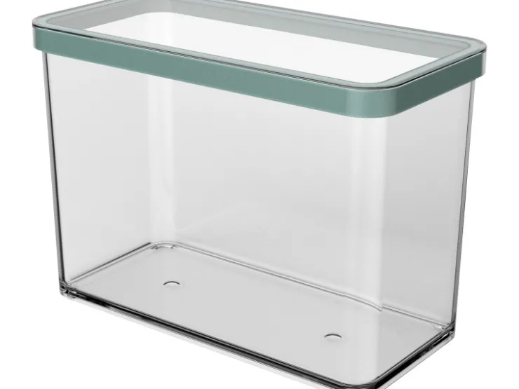 Clearance Rotho Dose Loft Premium Rechteckig 2,1 l Transparent Mistletoe Green