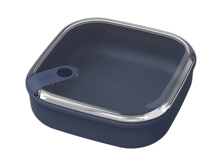 Best Rotho Frischhaltedose Ela Flach 1 l Dunkel-Blau