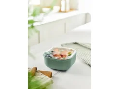 Rotho Vorratsdosen<Frischhaltedose Ela 1 l Mistletoe Green