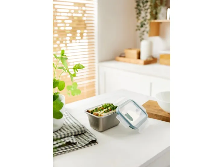 Sale Rotho Frischhaltedose Nala Edelstahl 0,7 l Mistletoe Green