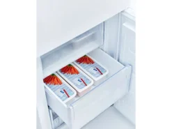 Rotho Vorratsdosen|Vorratsbehälter<Gefrierdosen-Set Domino Karotten 1,2 l Weiß 3-teilig