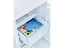Rotho Vorratsdosen|Vorratsbehälter<Gefrierdose-Set Domino 1 l 4-teilig Horizontblau