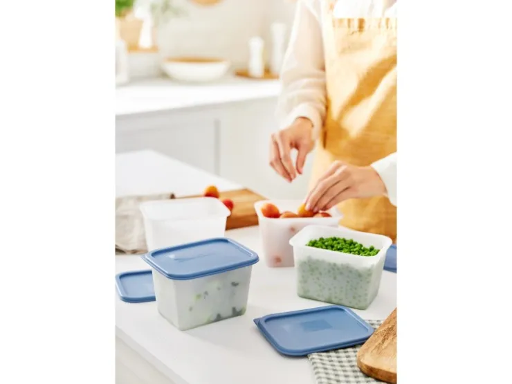 Rotho Vorratsdosen|Vorratsbehälter<Gefrierdose-Set Domino 1 l 4-teilig Horizontblau