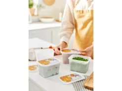 Hot Rotho Gefrierdose-Set Domino 1 l 4-teilig Weiß