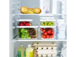 Rotho Küchen-Ordnungssysteme<Kühlschrankorganizer Cauma 1,2 l Weiß