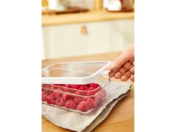 Rotho Küchen-Ordnungssysteme<Kühlschrankorganizer Cauma 1,2 l Weiß