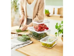 Online Rotho Kühlschrankorganizer-Set Cauma Transparent 4-teilig