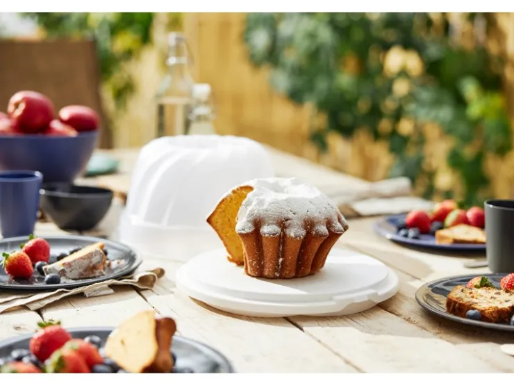 Rotho Küchenhelfer<Kuchenbehälter Gugelhupf Fresh Weiß