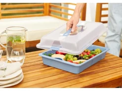 Clearance Rotho Partybutler Cool & Fresh Horizontblau
