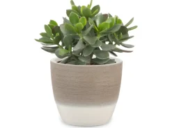 Outlet Scheurich Übertopf 950 Ø 14 cm Espresso Cream Braun