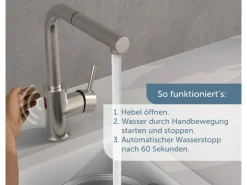Clearance Sensor-Spültischarmatur Vital mit Herausziehbarem Auslauf Einhebelmischer