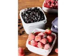New SmartStore Gefrierdose Frost 0,75 l Lavendel 4 Stück
