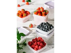 New SmartStore Gefrierdose Frost 0,75 l Lavendel 4 Stück