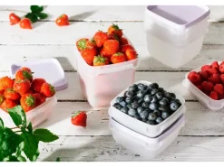Online SmartStore Gefrierdose Frost 0,3 l Lavendel 6 Stück