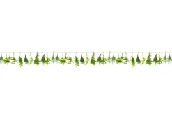Spritzschutz-Rückwand WandArt easy 200 x 58,5 cm Herbs Line (D3106P BRIL) FSC®
