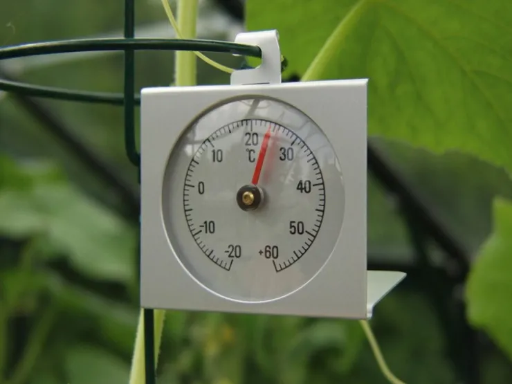 Vitavia Gefrierschränke<Thermometer