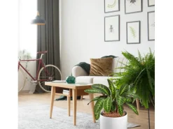 Discount Tongranulat Blähton 45 l Töpfe