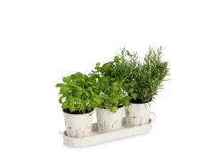 Clearance Zeller Kräutertopf-Set Flowers Metall 4-teilig Weiß
